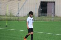 IMG_9007.jpg