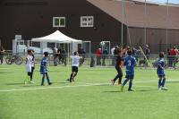 IMG_9010.jpg